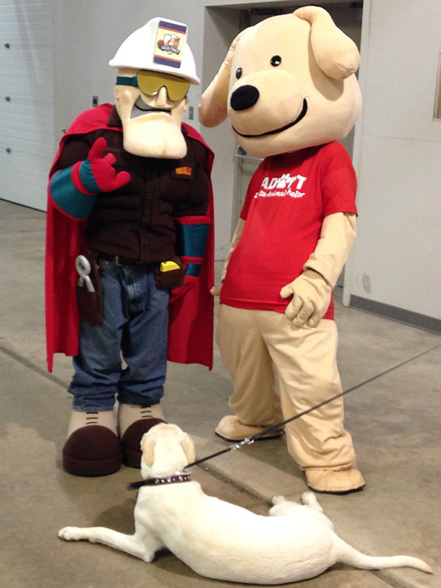 Fenceman to appear at Home & Garden Show and Pancake Days