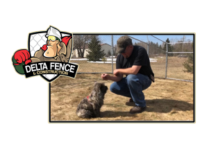 Fencing Tips for Pets to Consider