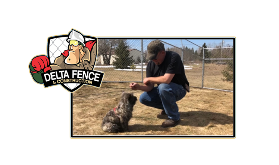 Fencing Tips for Pets to Consider