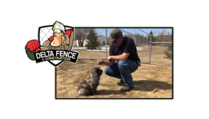 Fencing Tips for Pets to Consider