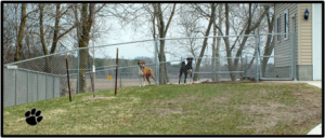 Dog Vinyl Fences