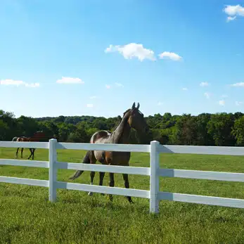 Vinyl Rail Fence